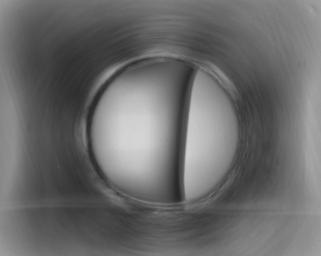 X0000115520788200911061022