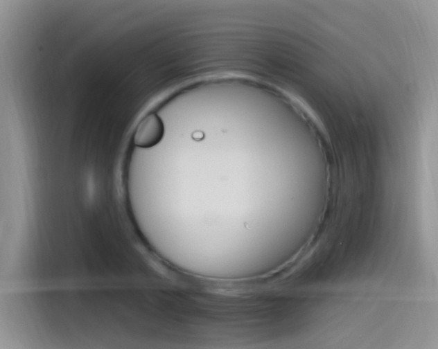 X0000115520789200911061022