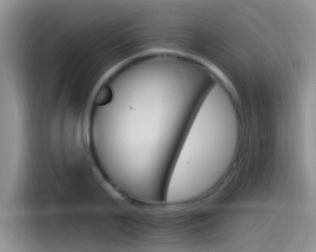 X0000115520791200911061022