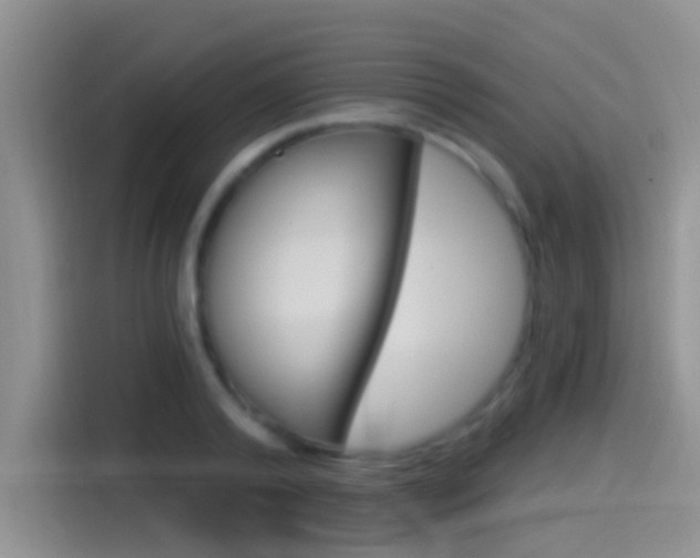 X0000115520792200911061022