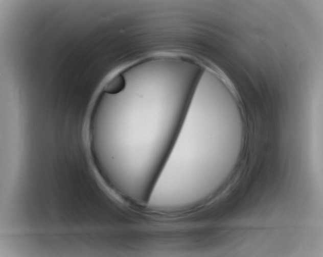 X0000115520795200911061022