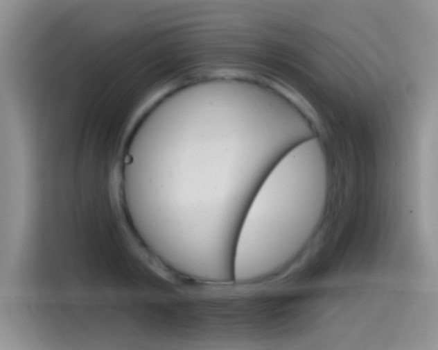 X0000115520798200911061022