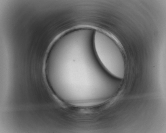 X0000115520799200911061022