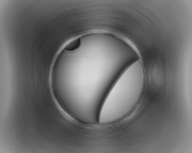 X0000115520803200911061022