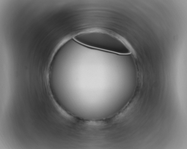 X0000115520805200911061022