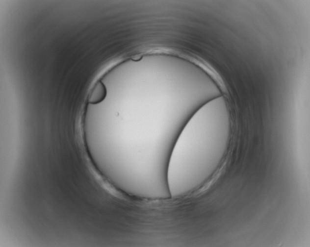 X0000115520806200911061022