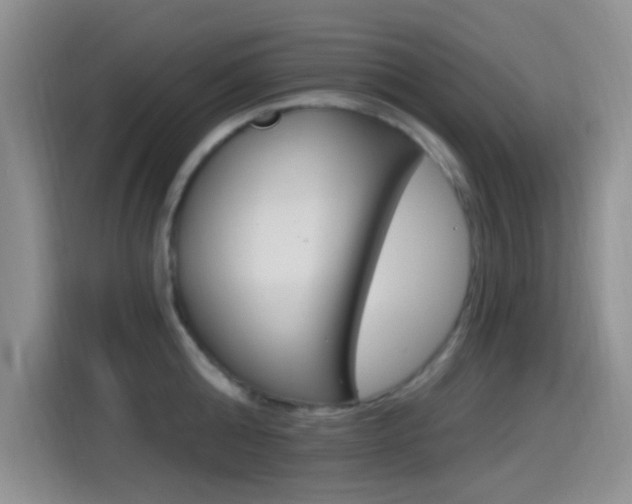 X0000115520808200911061022