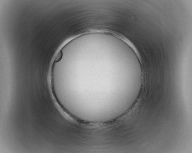 X0000115520811200911061022