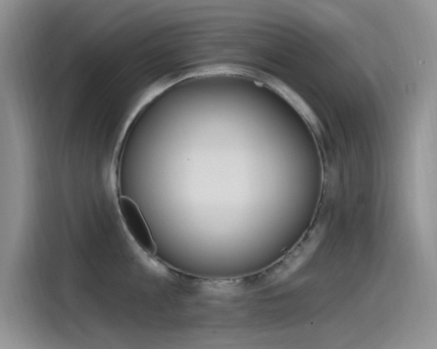 X0000115520813200911061022