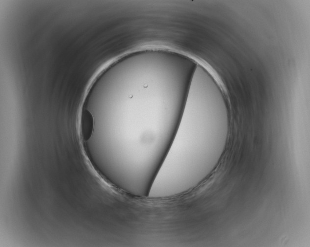 X0000115520815200911061022