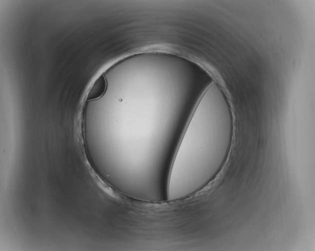 X0000115520816200911061022