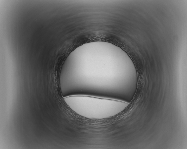 X0000115520818200911061021