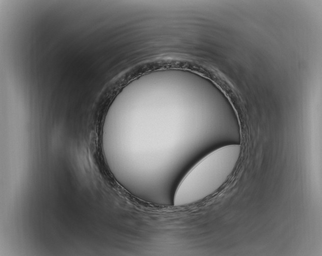 X0000115520821200911061021