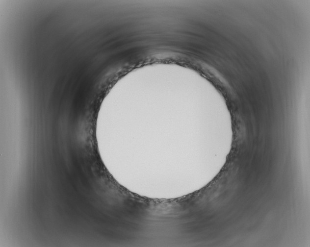 X0000115520824200911061021