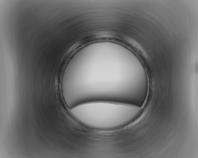 X0000115520825200911061021