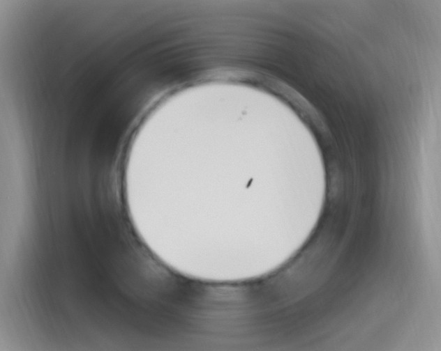 X0000115520836200911061021