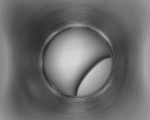 X0000115520837200911061021