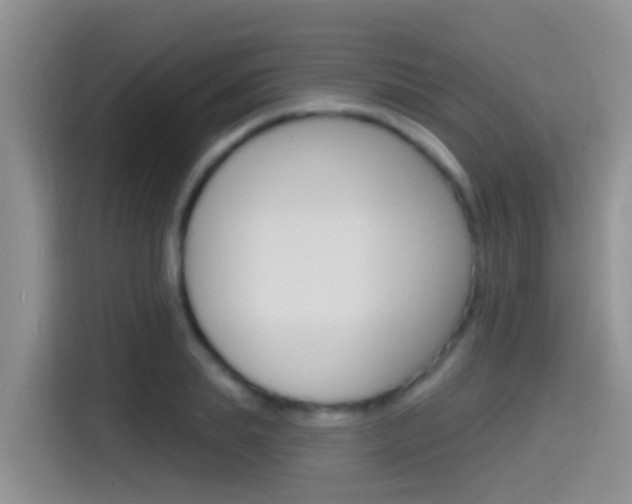 X0000115520839200911061021