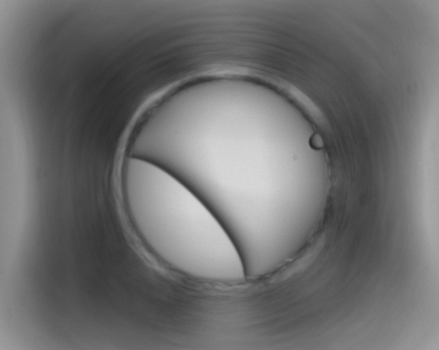 X0000115520840200911061021