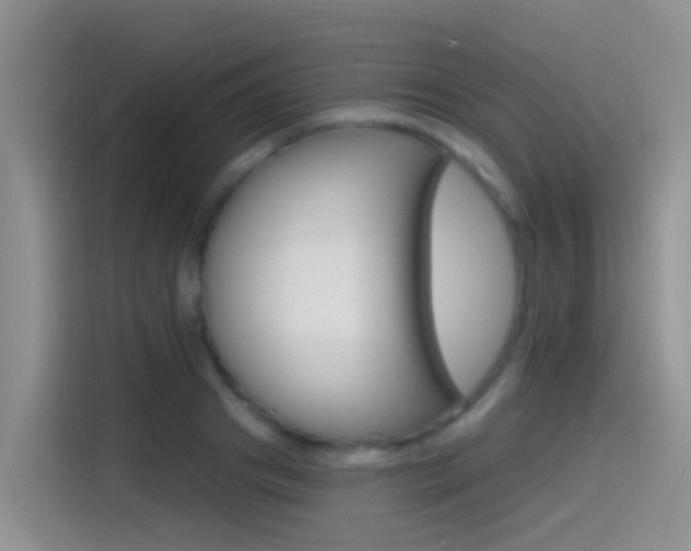 X0000115520841200911061021