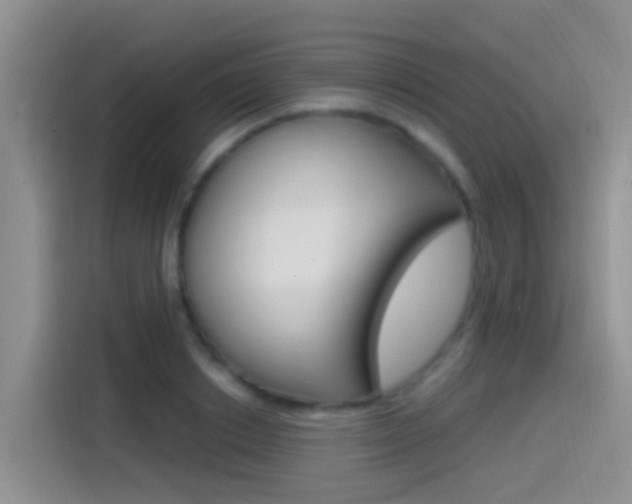 X0000115520842200911061021