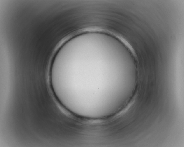 X0000115520845200911061022