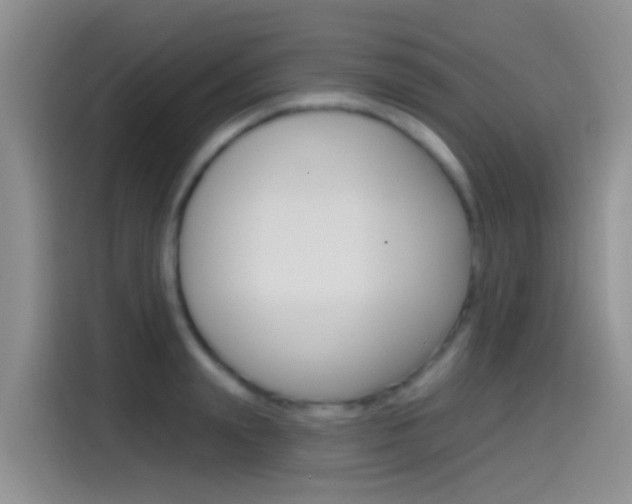 X0000115520847200911061022