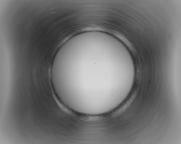 X0000115520849200911061022