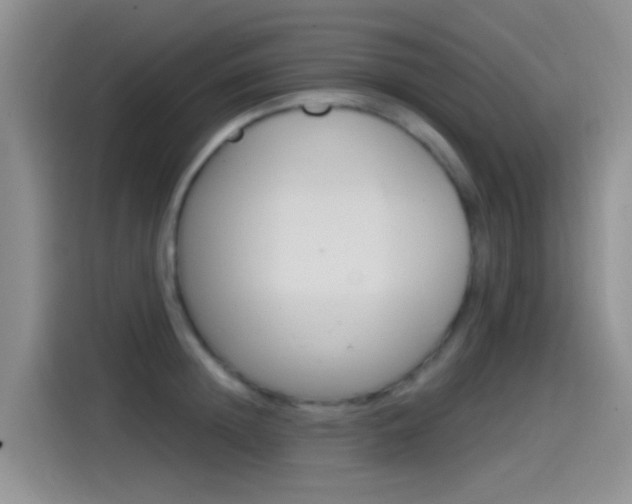 X0000115520852200911061022