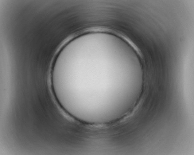 X0000115520853200911061022