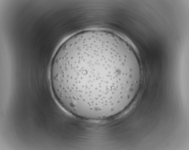 X0000115520855200911061022