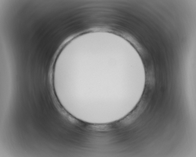 X0000115520856200911061022