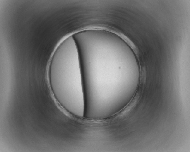 X0000115520862200911061022
