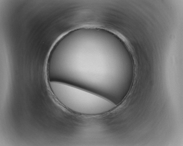 X0000115520864200911061022