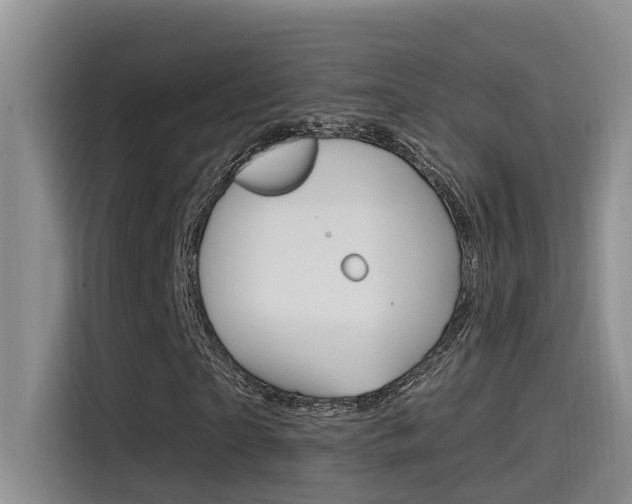X0000115520865200911061021