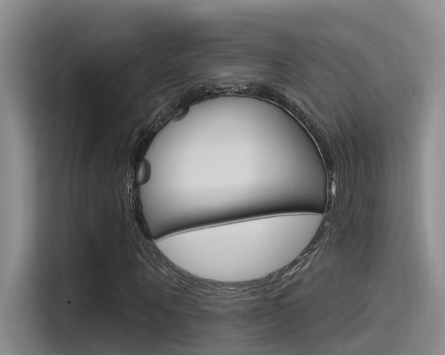 X0000115520867200911061021