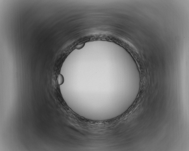 X0000115520869200911061021