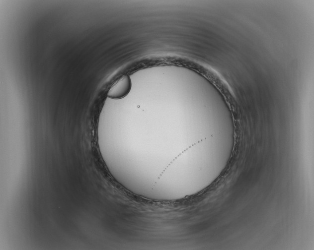 X0000115520871200911061021