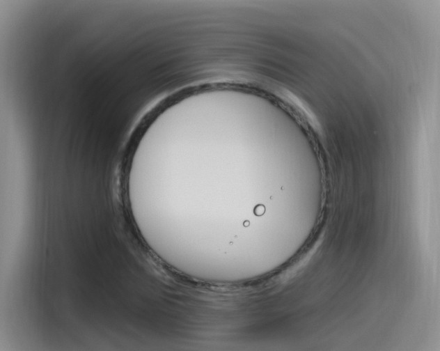 X0000115520875200911061021