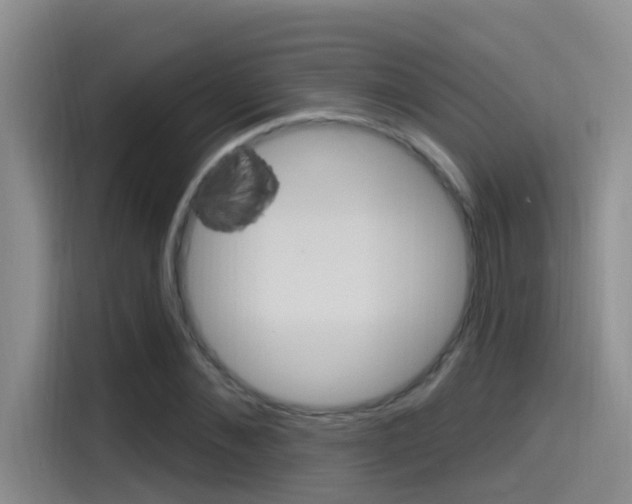 X0000115520876200911061021