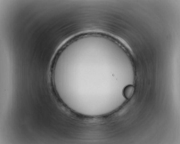 X0000115520879200911061021