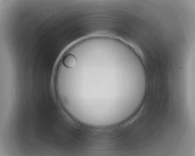 X0000115520880200911061021
