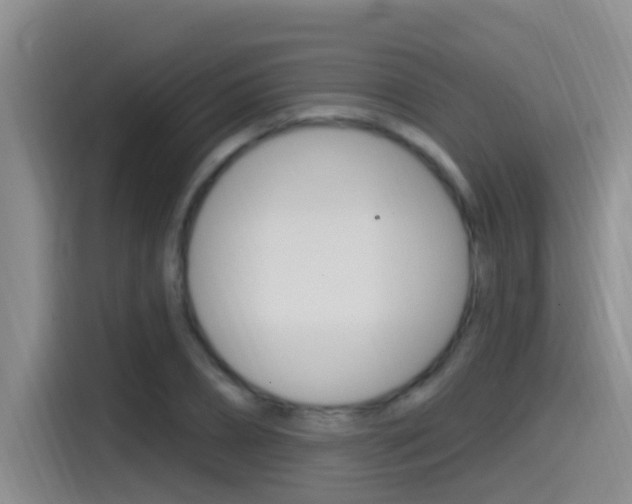 X0000115520882200911061021