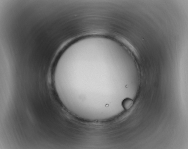 X0000115520883200911061021