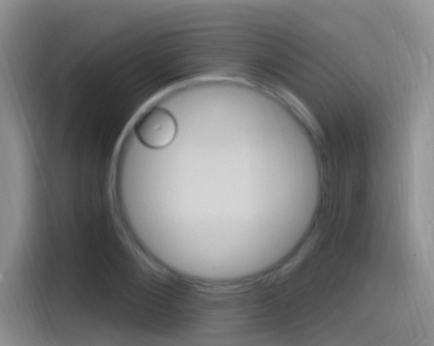 X0000115520884200911061021