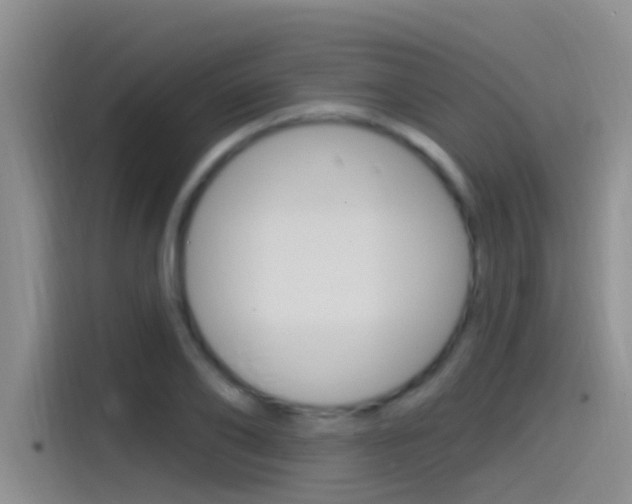 X0000115520886200911061021