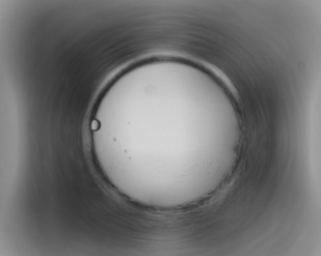 X0000115520887200911061021