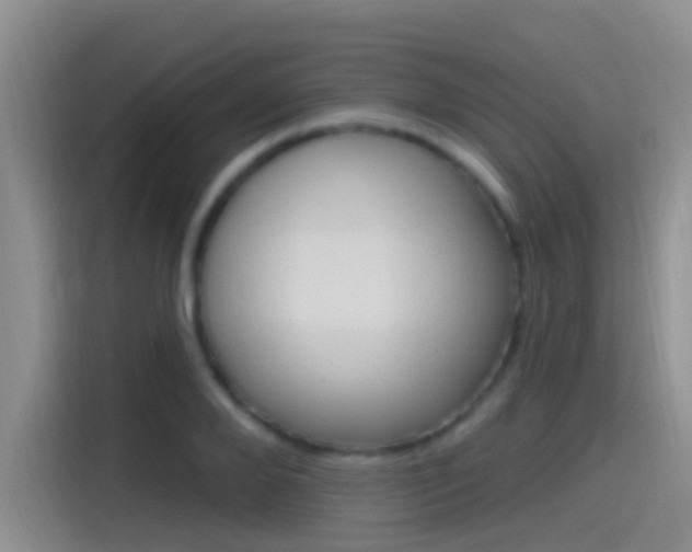 X0000115520888200911061021