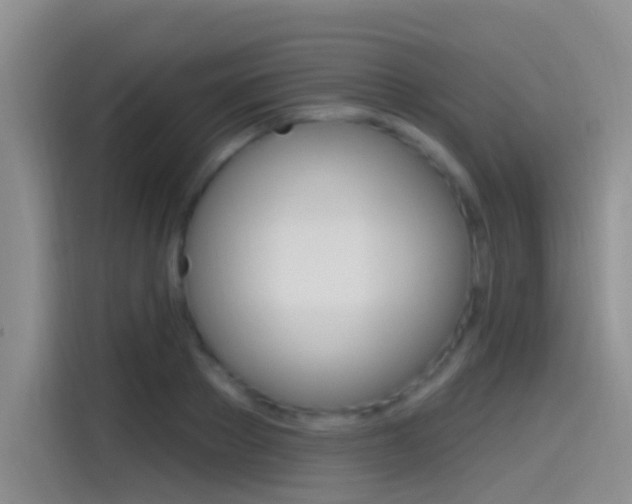 X0000115520889200911061021