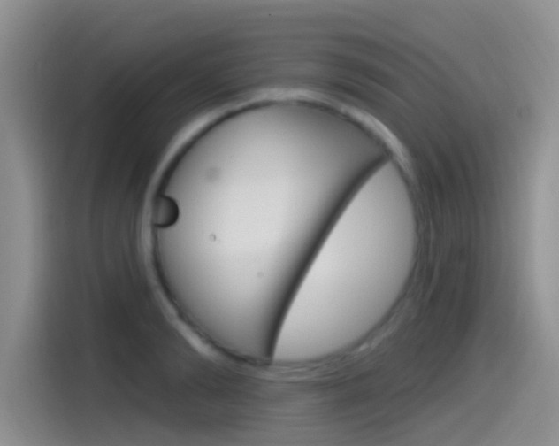 X0000115520894200911061021